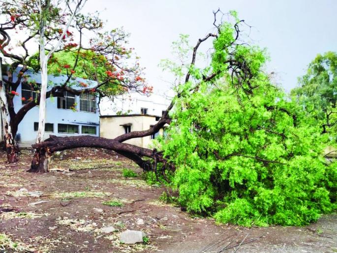 Presence of pre-monsoon rains in Buldana district | बुलडाणा जिल्ह्यात मान्सूनपूर्व पावसाची हजेरी Presence of pre-monsoon rains in Buldana district | बुलडाणा जिल्ह्यात मान्सूनपूर्व पावसाची हजेरी