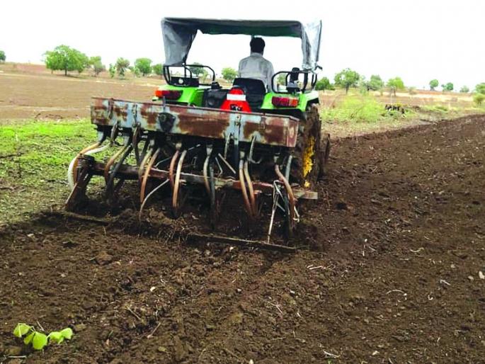 Sowing of Kharif over 55 thousand hectare area in Buldana district | बुलडाणा जिल्ह्यात ५५ हजार हेक्टर क्षेत्रावर खरीप पेरणी
