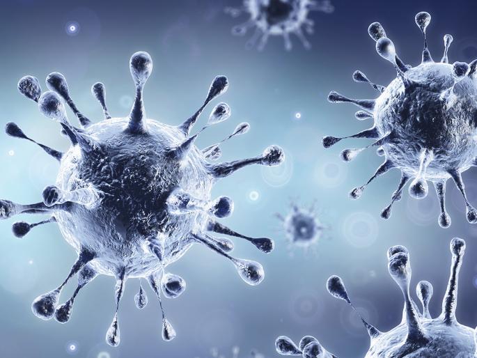 Professionals will be inspected twice a week | व्यावसायिकांची होणार आठवड्यातून दोनदा तपासणी Professionals will be inspected twice a week | व्यावसायिकांची होणार आठवड्यातून दोनदा तपासणी