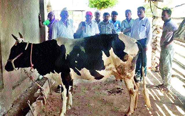 Guidance by farmers to the farmers at Khambale | खंबाळे येथे पथकातर्फे शेतकऱ्यांना मार्गदर्शन