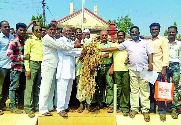 Provide 25 thousand acres of rice to the farmers | धान उत्पादकांना एकरी २५ हजारांची मदत करा Provide 25 thousand acres of rice to the farmers | धान उत्पादकांना एकरी २५ हजारांची मदत करा