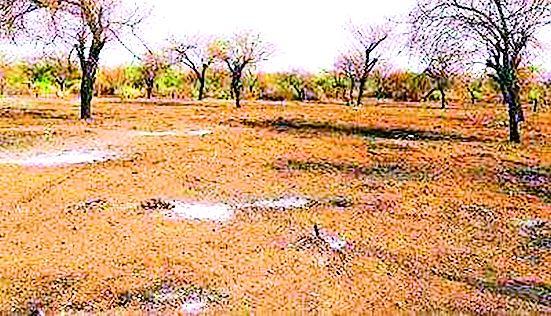 Three thousand families of the forest land records seven times | तीन हजार कुटुंबीयांच्या वनजमिनीची सातबाऱ्यात नोंद