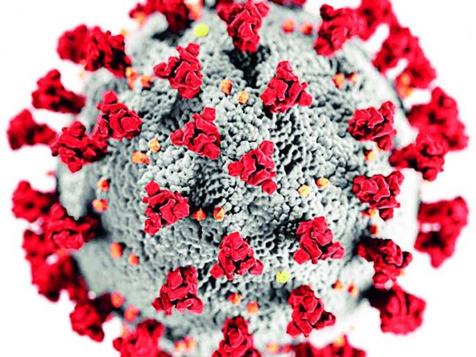 Victim of corona infection on New Year's Day | नववर्षाच्या पहिल्याच दिवशी कोरोना संसर्गाचा बळी Victim of corona infection on New Year's Day | नववर्षाच्या पहिल्याच दिवशी कोरोना संसर्गाचा बळी