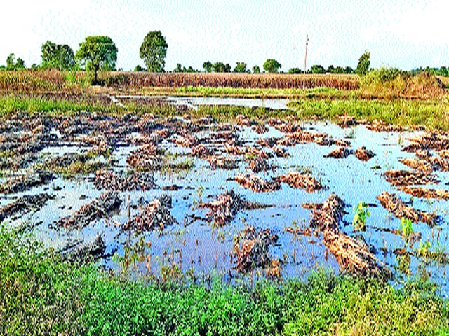 Farmers waiting to be compensated | शेतकरी नुकसानभरपाईच्या प्रतीक्षेत Farmers waiting to be compensated | शेतकरी नुकसानभरपाईच्या प्रतीक्षेत