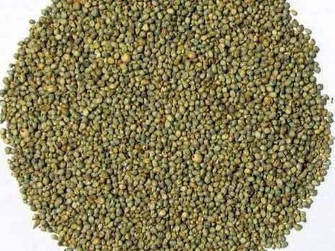 Dhule district will require 49 thousand quintals of seed for procurement | धुळे जिल्ह्याला खरीपासाठी ४९ हजार क्विंटल बियाणे लागणार Dhule district will require 49 thousand quintals of seed for procurement | धुळे जिल्ह्याला खरीपासाठी ४९ हजार क्विंटल बियाणे लागणार