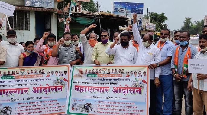 Protests against the alliance government in Gadchiroli | आघाडी सरकारविरोधात गडचिरोलीत ठिकठिकाणी निदर्शने