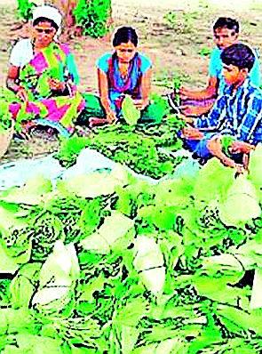 Tandupta business slowdown | तेंदूपत्ता व्यवसायावर मंदीचे सावट Tandupta business slowdown | तेंदूपत्ता व्यवसायावर मंदीचे सावट
