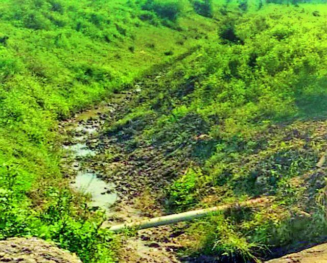 Thirsty farming was left without the water of Dina dam water | दिना धरणाचे पाणी सोडूनही शेवटची शेती तहानलेलीच