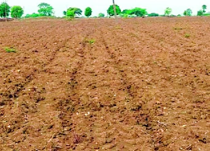 Crisis of double sowing in Chamorshi taluka | चामोर्शी तालुक्यात दुबार पेरणीचे संकट Crisis of double sowing in Chamorshi taluka | चामोर्शी तालुक्यात दुबार पेरणीचे संकट
