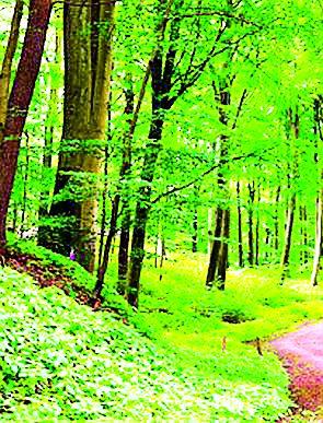 Extension to 44 temporary posts | ४४ अस्थायी पदांना मुदतवाढ Extension to 44 temporary posts | ४४ अस्थायी पदांना मुदतवाढ