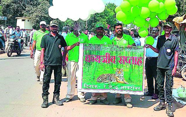 Wildlife conservation jagran rallies | रॅलीतून वन्यजीवांच्या रक्षणाचा जागर