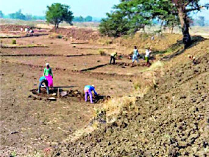 Employment of Rs 47 crores from Roho | रोहयोतून ४७ कोटींचा रोजगार Employment of Rs 47 crores from Roho | रोहयोतून ४७ कोटींचा रोजगार