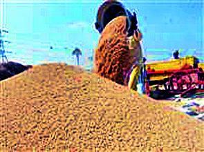 Paddy procurement is not stopped by the organization | संस्थांच्या आडकाठीने अहेरीत धान खरेदी बंदच Paddy procurement is not stopped by the organization | संस्थांच्या आडकाठीने अहेरीत धान खरेदी बंदच