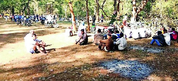 The crowd at the Babli festival | बाबलाई महोत्सवात उसळली गर्दी The crowd at the Babli festival | बाबलाई महोत्सवात उसळली गर्दी