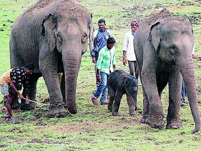 Technical sanction for tourism development | पर्यटन विकासाला तांत्रिक मंजुरीची आडकाठी Technical sanction for tourism development | पर्यटन विकासाला तांत्रिक मंजुरीची आडकाठी