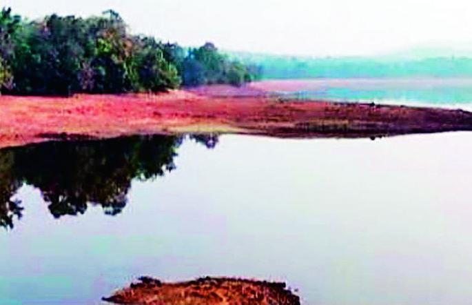 Managad lake, which is the lifeline of the city | शहराची लाईफलाईन असलेल्या मानागड तलावात ठणठणाट