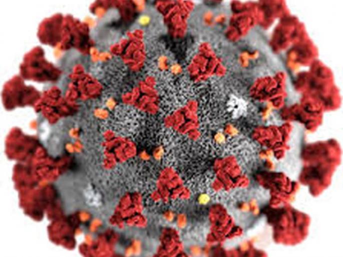 Again six corona-infected corona-free | पुन्हा सहा कोरोना बाधीत कोरोनामुक्त
