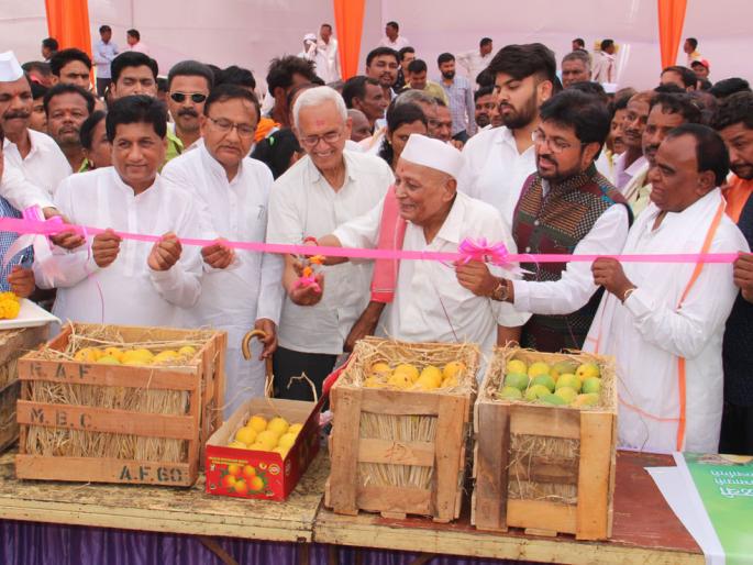 Give the farmers a cash incentive for plant conservation with power generation - Borade | शेतकऱ्यांना वीज उत्पादनासह वृक्ष संवर्धनाचा रोखीने मोबदला द्यावा- बोराडे