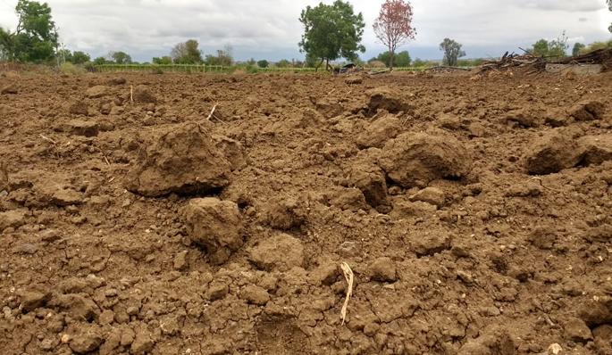 Varuna Raja is on the Jalna taluka | जालना तालुक्यावर वरुणराजा रुसलेलाच Varuna Raja is on the Jalna taluka | जालना तालुक्यावर वरुणराजा रुसलेलाच
