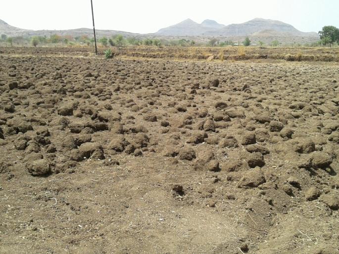 Waiting for rain for sowing | पेरण्यांसाठी पावसाची प्रतीक्षा  Waiting for rain for sowing | पेरण्यांसाठी पावसाची प्रतीक्षा