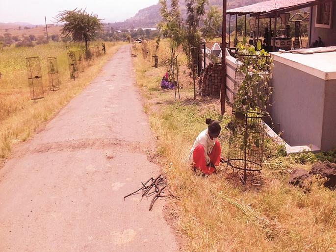 Curry became Green and Clean Village! | करंडी बनले ग्रीन अँड क्लिन व्हिलेज! Curry became Green and Clean Village! | करंडी बनले ग्रीन अँड क्लिन व्हिलेज!