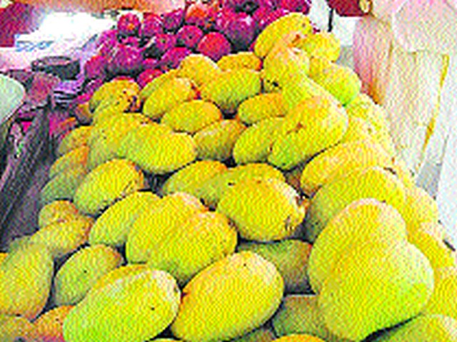 Will the mango export from the non-ray project be stopped? | वि-किरण प्रकल्पातून आंब्याची निर्यात थांबणार? Will the mango export from the non-ray project be stopped? | वि-किरण प्रकल्पातून आंब्याची निर्यात थांबणार?