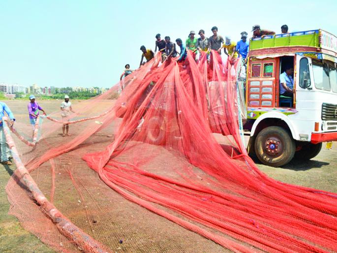 Ratnagiri: Percussion-traditional controversy will get annihilated, breach of ban and the possibility of perpetual fishing | रत्नागिरी : पर्ससीन-पारंपरिक वाद चिघळणार ?, बंदी मोडून पर्ससीन मासेमारीची शक्यता  Ratnagiri: Percussion-traditional controversy will get annihilated, breach of ban and the possibility of perpetual fishing | रत्नागिरी : पर्ससीन-पारंपरिक वाद चिघळणार ?, बंदी मोडून पर्ससीन मासेमारीची शक्यता