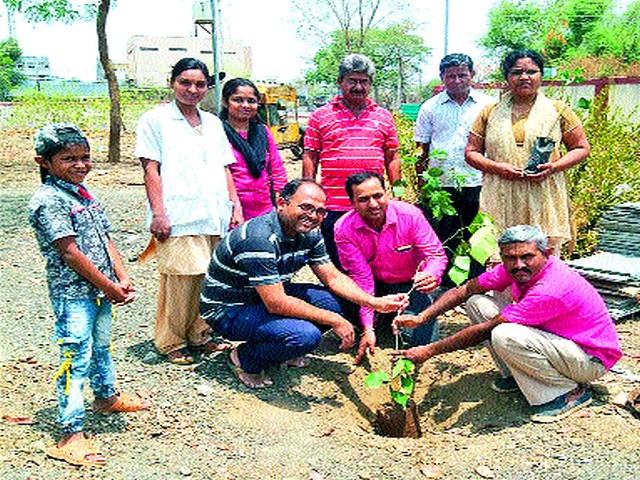 Offer worthless land, live on trees! | निरूपयोगी माठ द्या, वृक्षसंपदा जगवा! Offer worthless land, live on trees! | निरूपयोगी माठ द्या, वृक्षसंपदा जगवा!