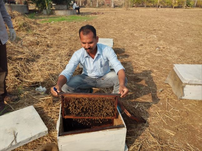 Increase the honey industry among the tribal brothers | आदिवासी बांधवांमध्ये मध उद्योगाचा वाढता गोडवा
