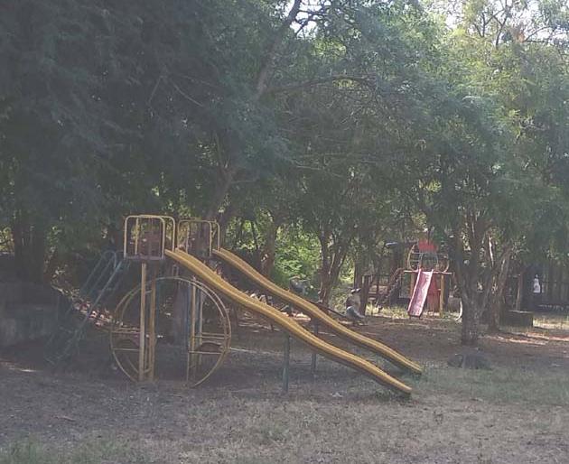 Agricultural tourism promotes agricultural tourism ... | कृषी पर्यटनाला वाव देत फुलवली शेती...