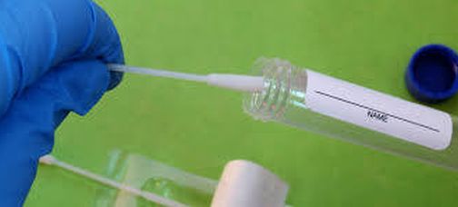 Nandurbar's swab will go to Pune or Nashik's lab again | नंदुरबारचे स्वॅब पुन्हा जाणार पुणे किंवा नाशिकच्या लॅबला Nandurbar's swab will go to Pune or Nashik's lab again | नंदुरबारचे स्वॅब पुन्हा जाणार पुणे किंवा नाशिकच्या लॅबला