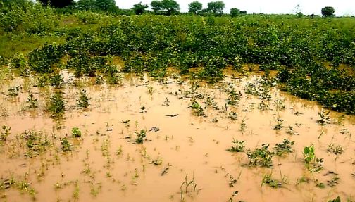 Funk of Rs 16.5 crore on excess rain damage | अतिवृष्टीच्या नुकसानीवर साडेसोळा कोटींची फुंकर Funk of Rs 16.5 crore on excess rain damage | अतिवृष्टीच्या नुकसानीवर साडेसोळा कोटींची फुंकर