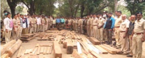 Illegal timber seized from Navapur taluka | नवापूर तालुक्यातून अवैध लाकूड जप्त Illegal timber seized from Navapur taluka | नवापूर तालुक्यातून अवैध लाकूड जप्त