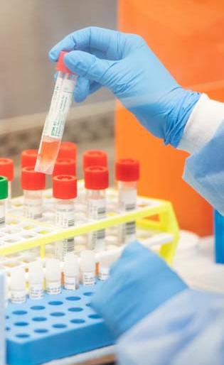 Mission 'Search Expedition' should be carried out in the district | जिल्ह्यात मिशन ‘शोधमोहिम’ राबवावी Mission 'Search Expedition' should be carried out in the district | जिल्ह्यात मिशन ‘शोधमोहिम’ राबवावी