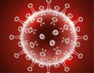 Two patients of corona in Nandurbar district | नंदुरबार जिल्ह्यात कोरोनाचे दोन रुग्ण Two patients of corona in Nandurbar district | नंदुरबार जिल्ह्यात कोरोनाचे दोन रुग्ण