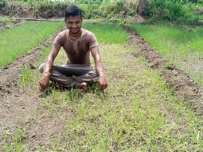 Dense fog damages onion seedlings in Patoda area | दाट धुक्याने कांदा रोपांचे पाटोदा परिसरात नुकसान Dense fog damages onion seedlings in Patoda area | दाट धुक्याने कांदा रोपांचे पाटोदा परिसरात नुकसान