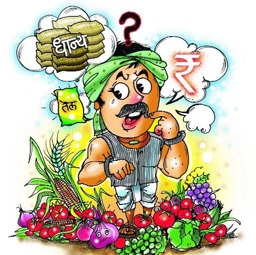 13,000 farmers get crop insurance cover | १३ हजार शेतकऱ्यांना मिळाले पीकविम्याचे कवच 13,000 farmers get crop insurance cover | १३ हजार शेतकऱ्यांना मिळाले पीकविम्याचे कवच