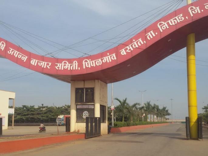 Pimpalgaon has a turnover of crores | पिंपळगावी कोट्यवधींची उलाढाल ठप्प Pimpalgaon has a turnover of crores | पिंपळगावी कोट्यवधींची उलाढाल ठप्प