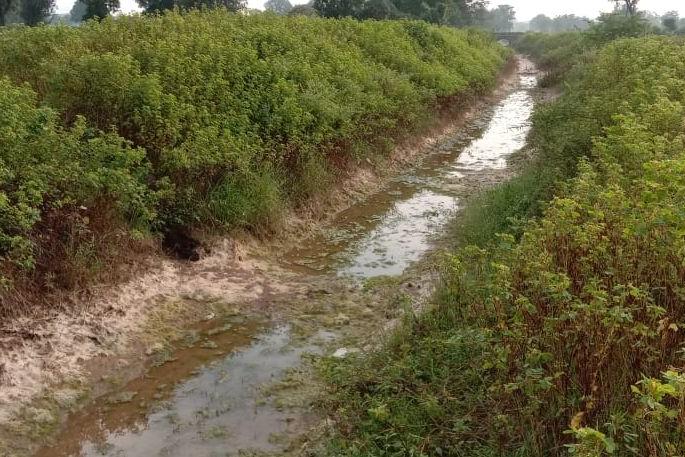 Canals and sidewalks should be repaired immediately | कालवे व पाटचाऱ्यांची तत्काळ दुरुस्ती करावी Canals and sidewalks should be repaired immediately | कालवे व पाटचाऱ्यांची तत्काळ दुरुस्ती करावी