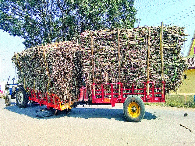 Illegal sugarcane transportation continues | बेकायदेशीर ऊस वाहतूक सुरूच Illegal sugarcane transportation continues | बेकायदेशीर ऊस वाहतूक सुरूच