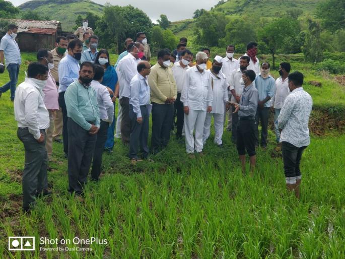 Agriculture Day Week begins at Kone | कोणे येथे कृषी दिन साप्ताहला सुरवात Agriculture Day Week begins at Kone | कोणे येथे कृषी दिन साप्ताहला सुरवात