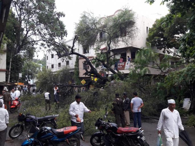 Traffic down due to rain due to trees on the streets of Yew | पावसामुळे वाईतील रस्त्यावर झाड पडल्याने वाहतूक बंद Traffic down due to rain due to trees on the streets of Yew | पावसामुळे वाईतील रस्त्यावर झाड पडल्याने वाहतूक बंद