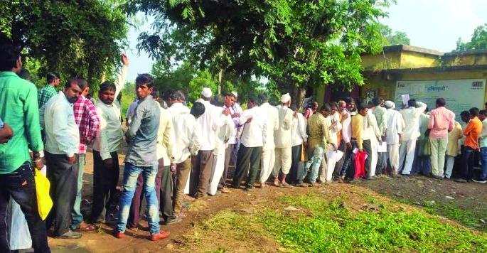 Crop insurance companies have to pay 450 crores! | पीक विम्यापोटी कंपन्यांना द्यावे लागतील ४५० कोटी! Crop insurance companies have to pay 450 crores! | पीक विम्यापोटी कंपन्यांना द्यावे लागतील ४५० कोटी!