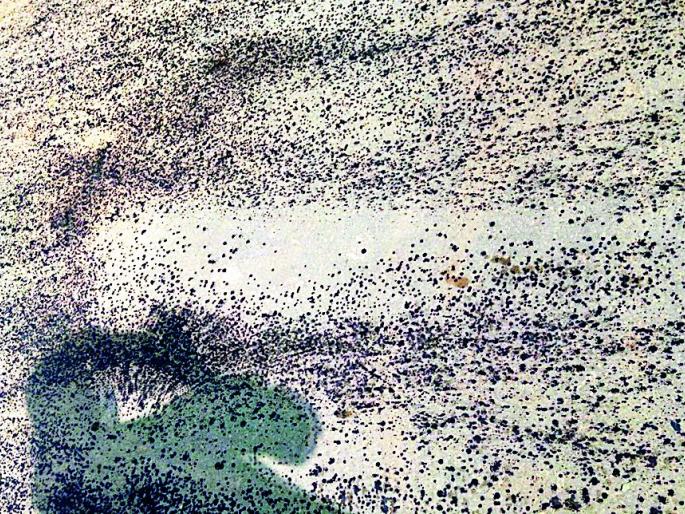 Churry use in road construction | रस्ता बांधकामात चुरीचा वापर  Churry use in road construction | रस्ता बांधकामात चुरीचा वापर