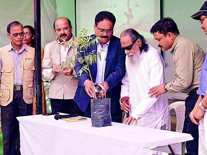 Most of the birds fall into the natural world | बहुतांश पक्षी निसर्गशेतीला उपकारकच Most of the birds fall into the natural world | बहुतांश पक्षी निसर्गशेतीला उपकारकच