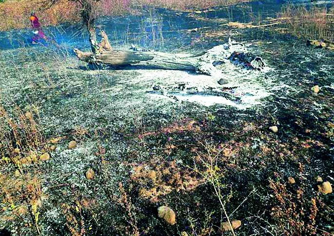 Fireworks in the fire | आगीत शेतीसाहित्य भस्मसात