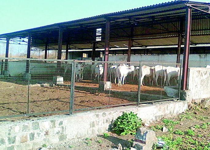 Returns the amount of machinery and supplies going back | यंत्रसामग्री व पुरवठ्याची रक्कम जाणार परत  Returns the amount of machinery and supplies going back | यंत्रसामग्री व पुरवठ्याची रक्कम जाणार परत