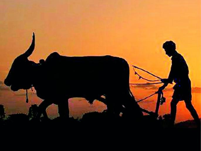 11 thousand 851 farmers waiting for compensation | ११ हजार ८५१ शेतकऱ्यांना नुकसानभरपाईची प्रतीक्षा 11 thousand 851 farmers waiting for compensation | ११ हजार ८५१ शेतकऱ्यांना नुकसानभरपाईची प्रतीक्षा