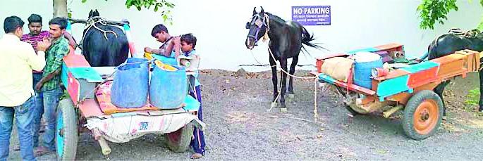 Enraged possession of the screamers | भोंदूगिरी करणाऱ्यांना अंनिसने घेतले ताब्यात Enraged possession of the screamers | भोंदूगिरी करणाऱ्यांना अंनिसने घेतले ताब्यात