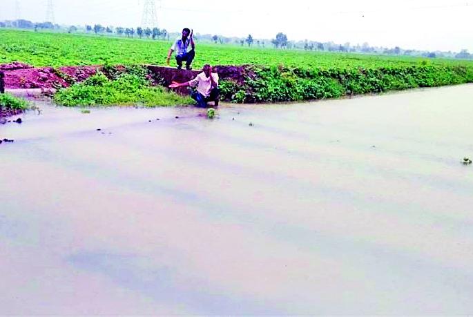 The nature of the lake came to the field | शेताला आले तलावाचे स्वरूप